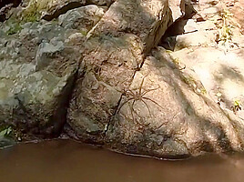 Fucking In The Jungle River With Sparks Go Wild