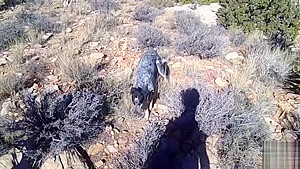 Fucking and Sucking in the Great Outdoors- First Creek Fuck