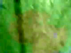 Girl breaths and stop for dick flash