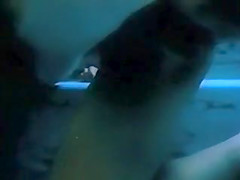 Girls On The Lick Scene 3 Lesbian Scene