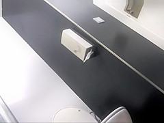 Great hidden home WC cam 2