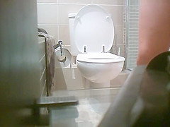 Great hidden home WC cam 2