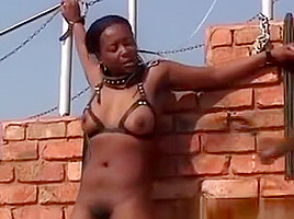 Hairy Pussy Black African Babe Tortured Bonded