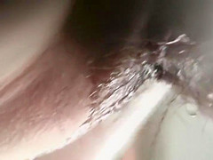 Hairy beaver pissing in closeup