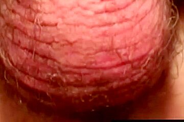 Hairy southern bears assfucking threeway