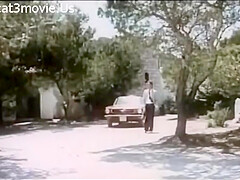 Heisser Sex Auf Ibiza