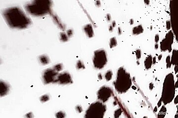 Holy Gaping Butthole Batman EPIC ANAL Russian Anal Queen Alysa