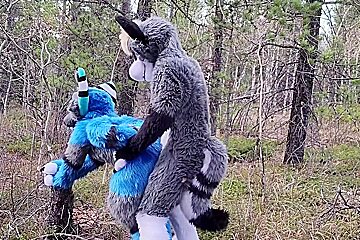 Horny Furries Fuck In The Wild