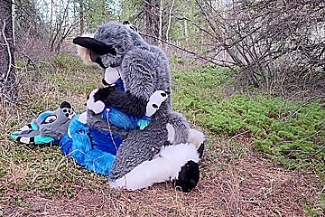 Horny Furries Fuck In The Wild