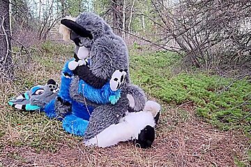 Horny Furries Fuck In The Wild