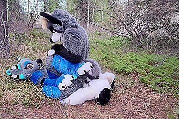 Horny Furries Fuck In The Wild