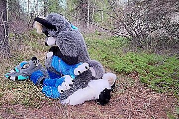 Horny Furries Fuck In The Wild