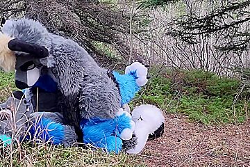 Horny Furries Fuck In The Wild