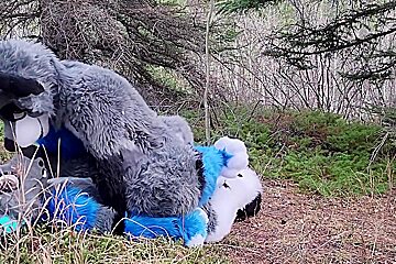 Horny Furries Fuck In The Wild