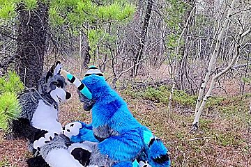 Horny Furries Fuck In The Wild