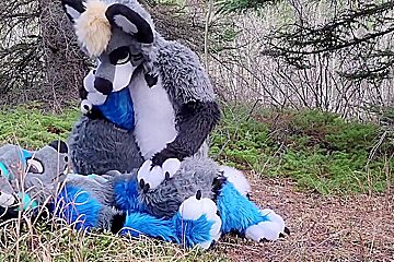 Horny Furries Fuck In The Wild