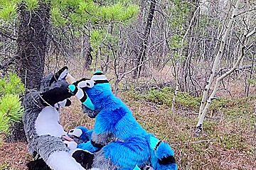 Horny Furries Fuck In The Wild