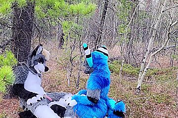 Horny Furries Fuck In The Wild