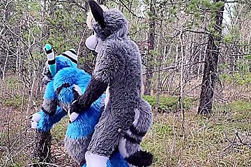 Horny Furries Fuck In The Wild