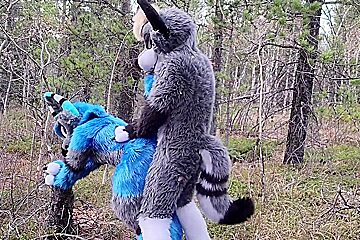 Horny Furries Fuck In The Wild