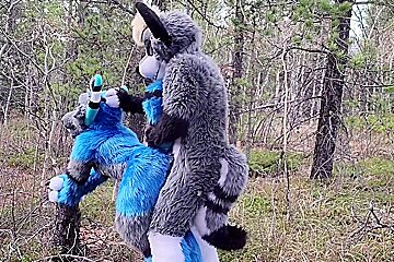 Horny Furries Fuck In The Wild