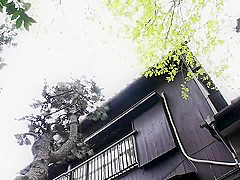 Horny Japanese model in Hottest JAV movie watch show