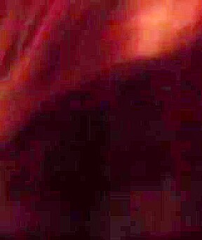 Hot sexy Trap gives Great blowjob Kylee Cd trans slut