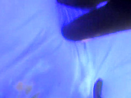 Hottest Cunnilingus, Cumshot adult scene