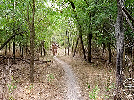 Hunky Naked Bears In The Woods