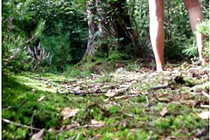 Im wald 3
