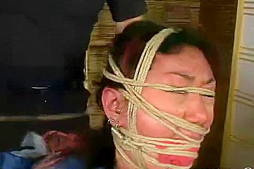 Insex 2001 11 28 Sankei