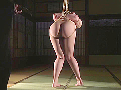 Japanese Bondage Pt368