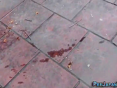 Japanese Hussy Pisses On The Street