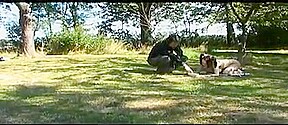 Kinky bitch eats food from the floor in fetish porn