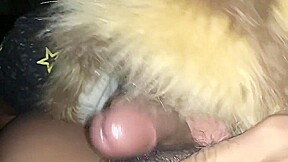 LATINO BJ