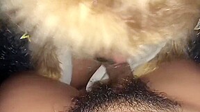 LATINO BJ