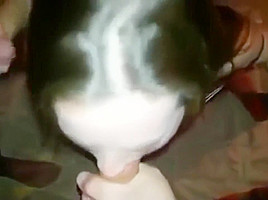 Lelu Love Humiliating Pov Blowjob Facial
