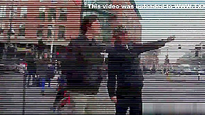 Longhaired dutch hooker gets nailed