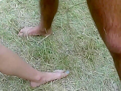 Lussuria Sexxxtasy Adventure - 5