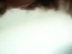 Miniature Arab screwed in nylons