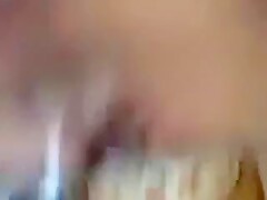 Miniature Arab screwed in nylons