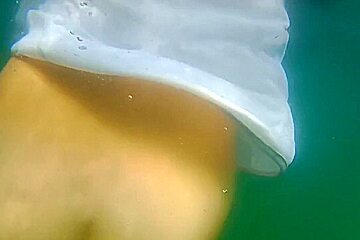 My New Butt Plug N Chinese Balls In Open Sea Show On Sup Board