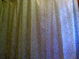 Naked girl in shower 1