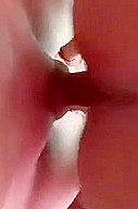 Nepali Bhalu Xxx Video