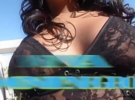 Never Die - The Really Best Of - - Lexington Steele