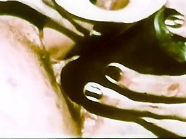 No Holes Barred - 1971 - Linda Lovelace