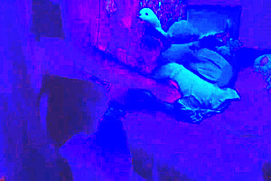 Nonbinary Punk Couple Fucks To Synthwave- 80s Themed Realistic Sex (with Aftercare)