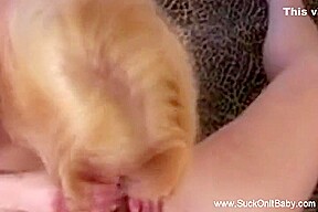 Only Blow Job In Horny Morgan The Babe Blowjob