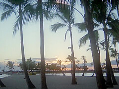 Oriental Hawaii