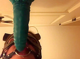 PMV - 005